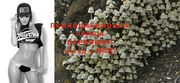 винт Покров