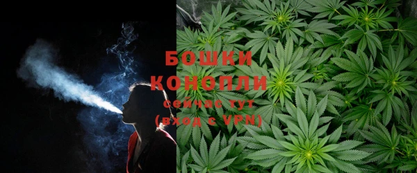 первитин Новодвинск