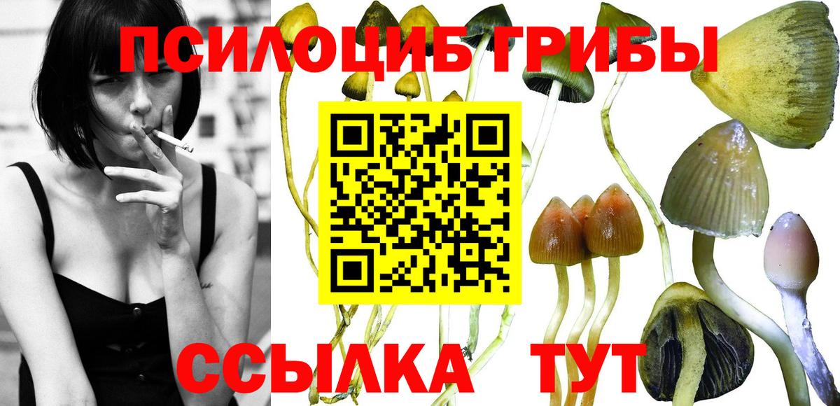 Псилоцибиновые грибы ЛСД Югорск