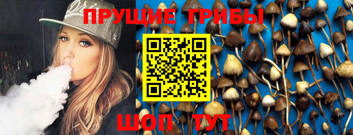 Псилоцибиновые грибы GOLDEN TEACHER  Вход с VPN  Югорск  Галлюциногенные грибы MAGIC MUSHROOMS 
